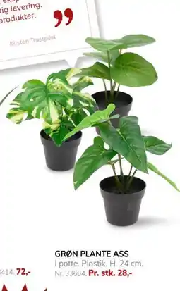 Daells Bolighus GRØN PLANTE ASS, DKK 28 tilbud