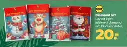 Netto Diamond art, DKK 20 tilbud