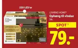 Lidl Ophæng til vindue, DKK 79 tilbud