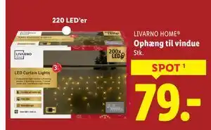 Lidl Ophæng til vindue, DKK 79 tilbud