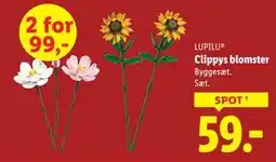Lidl Clippys blomster, DKK 59 tilbud
