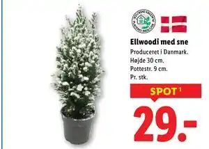 Lidl Ellwoodi med sne, DKK 29 tilbud