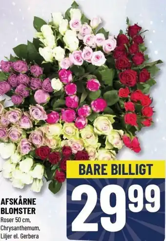 Afskårne Blomster 50cm