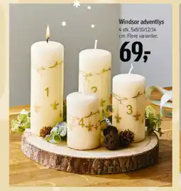 Føtex Windsor adventlys tilbud