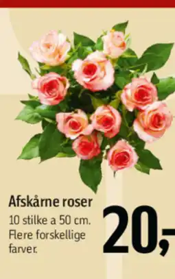 Føtex Afskårne roser tilbud