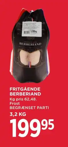 MENY FRITGÅENDE BERBERIAND, DKK 199.95 tilbud