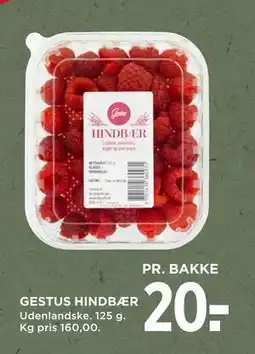 MENY GESTUS HINDBÆR, DKK 20 tilbud