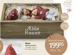 Kop & Kande Nisser, DKK 199.95 tilbud