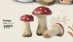 Kop & Kande Svampe, DKK 199.95 tilbud
