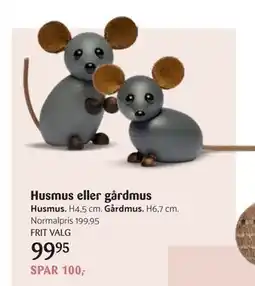 Kop & Kande Husmus eller gårdmus, DKK 99.95 tilbud