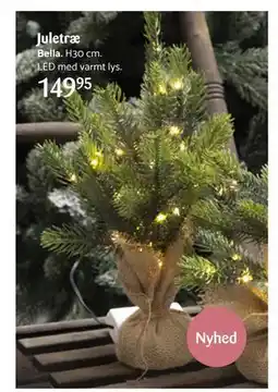 Kop & Kande Juletræ, DKK 149.95 tilbud