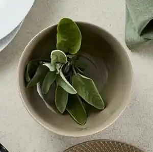 Kop & Kande Skål, DKK 299.95 tilbud