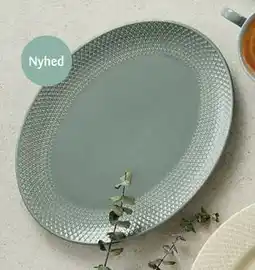 Kop & Kande Ovalt fad, DKK 469.95 tilbud