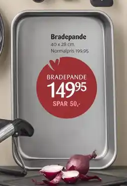 Kop & Kande Bradepande, DKK 149.95 tilbud