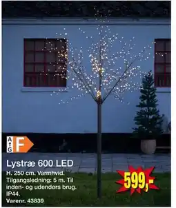 Harald Nyborg Lystræ 600 LED, DKK 599 tilbud
