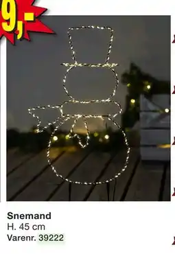 Harald Nyborg Snemand, DKK 79 tilbud