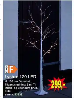 Harald Nyborg Lystræ 120 LED, DKK 299 tilbud