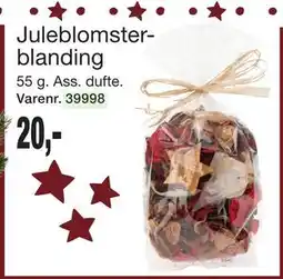 Harald Nyborg Juleblomsterblanding, DKK 20 tilbud