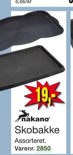 Harald Nyborg Skobakke, DKK 19 tilbud