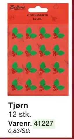 Harald Nyborg Tjørn, DKK 10 tilbud