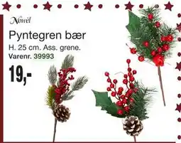 Harald Nyborg Pyntegren bær, DKK 19 tilbud
