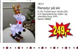 Harald Nyborg Rensdyr på ski, DKK 249 tilbud
