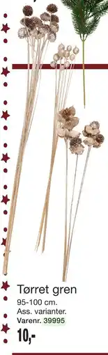 Harald Nyborg Tørret gren, DKK 10 tilbud