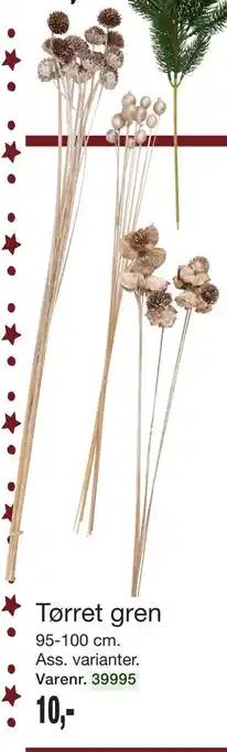 Harald Nyborg Tørret gren, DKK 10 tilbud