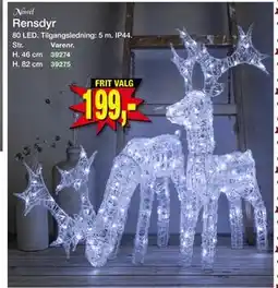 Harald Nyborg Rensdyr, DKK 199 tilbud