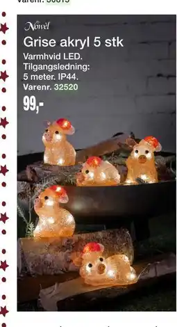 Harald Nyborg Grise akryl 5 stk, DKK 99 tilbud