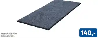 Troldtekt akustikloft