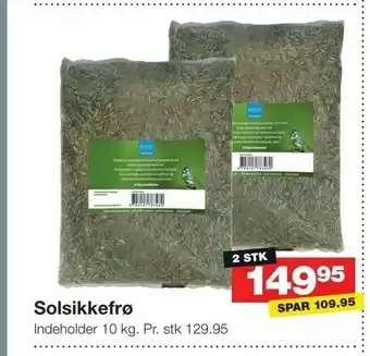 Solsikkefrø