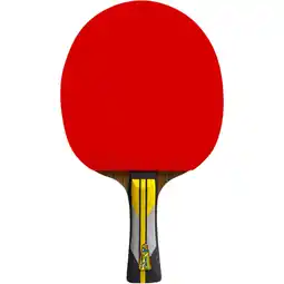 Sport 24 Double Fish 6A+ Bordtennisbat tilbud