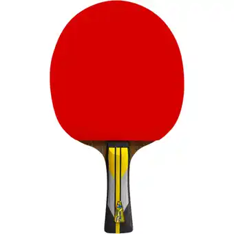 Sport 24 Double Fish 6A+ Bordtennisbat tilbud