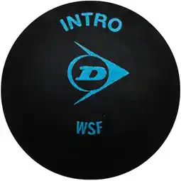 Sport 24 Dunlop Intro Squashbold tilbud