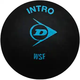 Sport 24 Dunlop Intro Squashbold tilbud