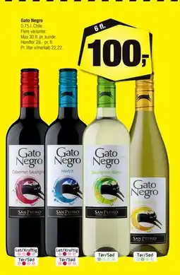 Calle Gato Negro, DKK 100 tilbud