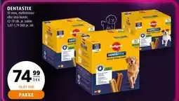 Scandinavian Park DENTASTIX, DKK 74.99 tilbud