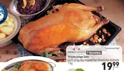 Citti Frische junge Gans tilbud