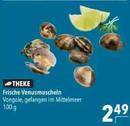Citti Frische Venusmuscheln tilbud