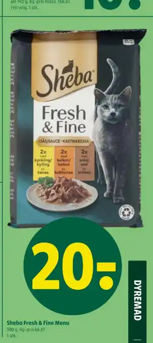 Coop 365 Sheba Fresh & Fine Menu tilbud