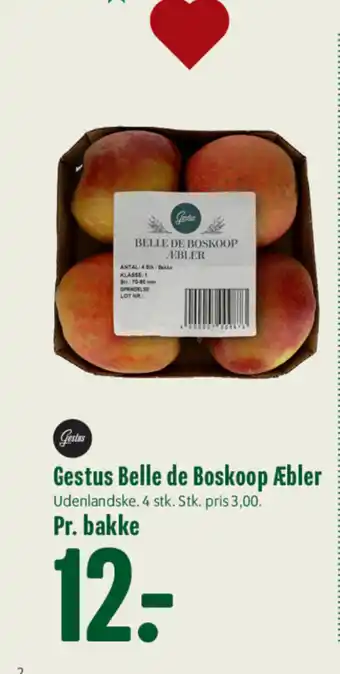 Gestus Belle de Boskoop Æbler