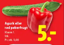 Lidl Agurk eller rød peberfrugt tilbud