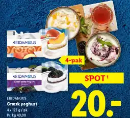 Lidl ERIDANOUS Græsk yoghurt tilbud