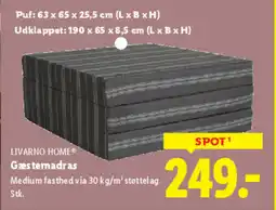 Lidl LIVARNO HOME Gæstemadras tilbud