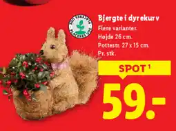 Lidl Bjergte i dyrekur v tilbud