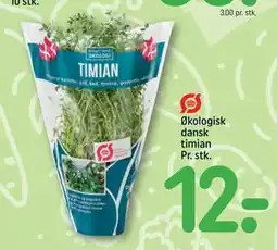 REMA 1000 Økologisk dansk timian Pr. stk., DKK 12 tilbud