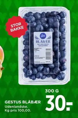 MENY GESTUS BLÅBÆR, DKK 30 tilbud