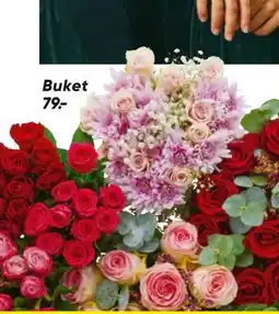Bilka Buket, DKK 79 tilbud