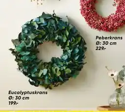 Bilka Eucalyptuskrans Ø: 30 cm, DKK 199 tilbud